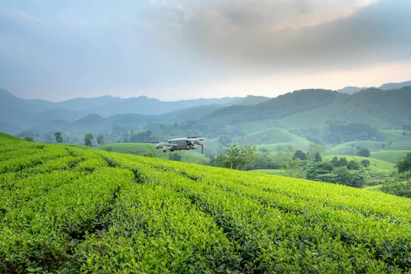 drone in agriculture