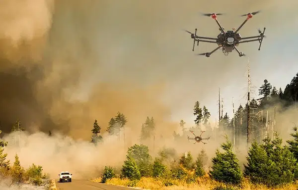 Natural Disaster Management