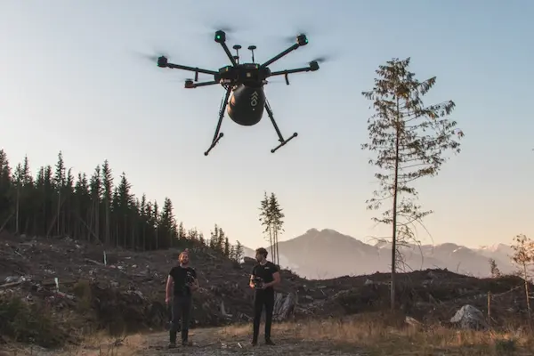 Benefits Of Drones In Forestry
