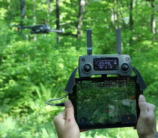 Drones In Forestry