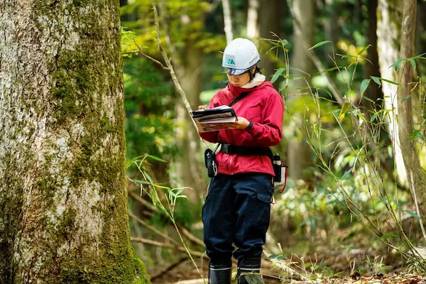Forestry Management Tools