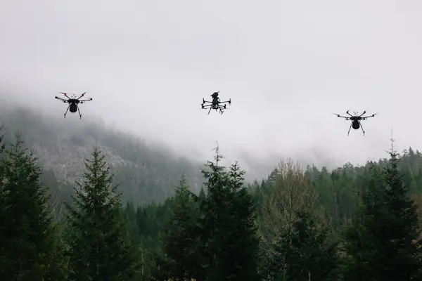 Role Of Drones In Forestry