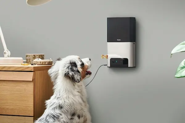 Petcube Pet Camera With Treat Dispenser