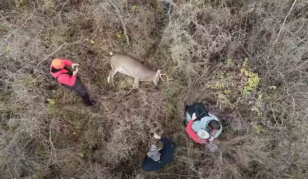 bird's-eye view