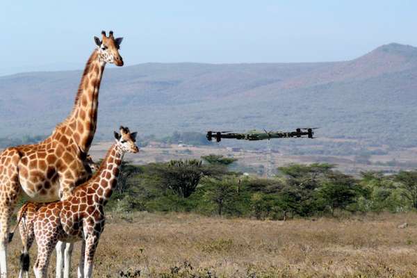 Protected Wildlife Areas