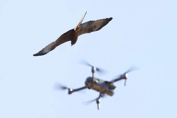Drones make noise