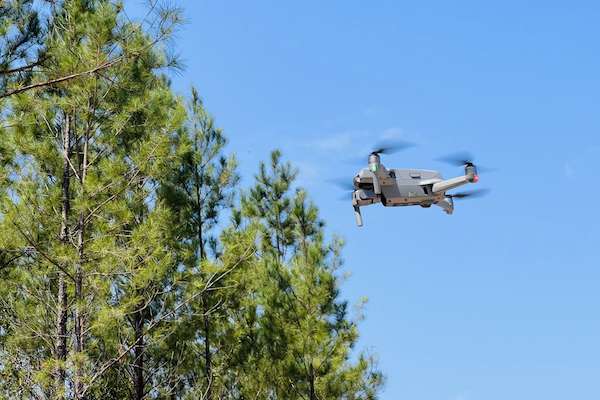 drone rules in forests