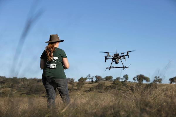 Practice flying your drone